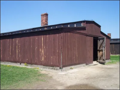 Comment s'appelle la féministe qui s'est battue pour l'IVG, et qui a survécu à Auschwitz-Birkenau ?