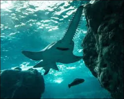 Dans quelle ville bretonne peut-on visiter l'aquarium Océanopolis ?