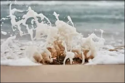 Qui a écrit le roman intitulé "L'écume des jours" ?