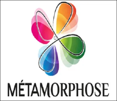 La métamorphose des coccinelles comporte quatre stades : uf, larve, ------ et adulte.