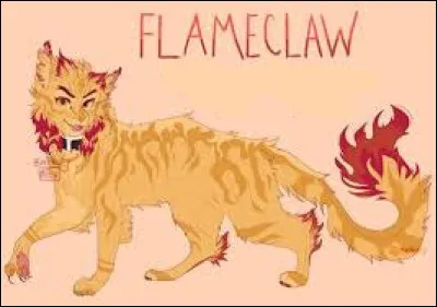 Qui est ce magnifique chat ?