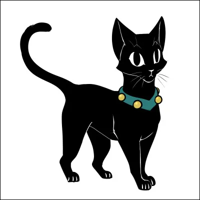 Qui est ce chat noir ?