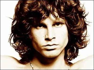 De quel groupe faisait partie Jim Morrison ?