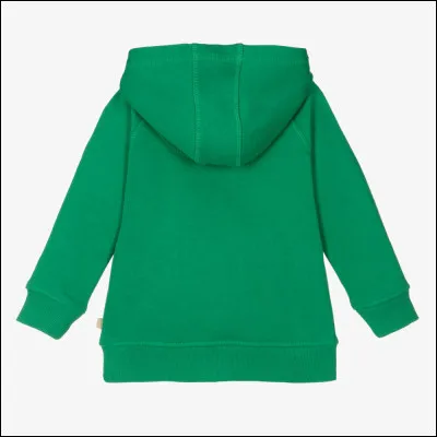 Sous capuche verte...