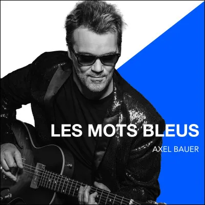 "Les MOts bleus" est le titre d'une chanson interprétée par Christophe.