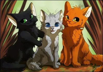 "Aurore" est le troisième tome du deuxième cycle de cette série écrite par Erin Hunter :