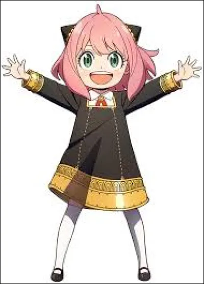 Quel est son pouvoir ?