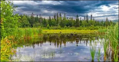 Que faut-il ajouter à "mar" pour obtenir le nom d'une étendue de terrain humide ?