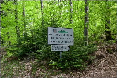 A quelle altitude situez-vous le point culminant du d&eacute;partement ?