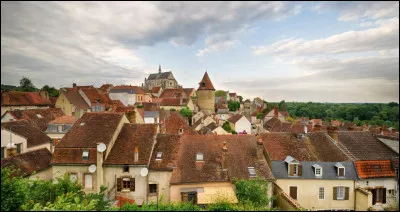 Quelle est cette petite ville de 4 000 habitants, baign&eacute;e par l'Armance et l'Arman&ccedil;on et par le canal de Bourgogne ?