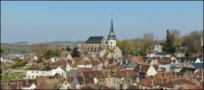 Quelle est cette petite ville de 2 500 habitants du sud-ouest du d&eacute;partement, l'un des principaux centres de la Puisaye ?