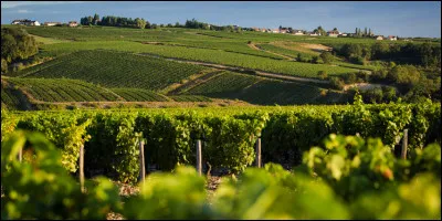 Quel est ce village, situ&eacute; dans la vall&eacute;e du Serein, connu pour son vignoble produisant un vin blanc r&eacute;put&eacute; ?