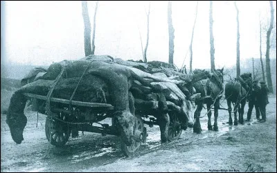 Combien de morts a causé la Première Guerre mondiale au total ?