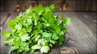 Que faut-il ajouter à "cor" pour obtenir le nom de cette plante aromatique ?