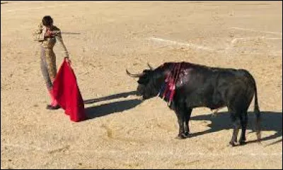 Que faut-il ajouter à "cor" pour obtenir le nom d'une course de taureaux consistant en un combat entre un homme et un taureau ?