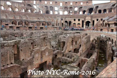 Qu'est ce que c'est que le Colisée situé à Rome ?