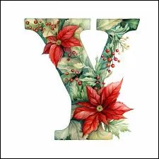 Y - Quelles sont les trois couleurs du drapeau du Y&eacute;men ?