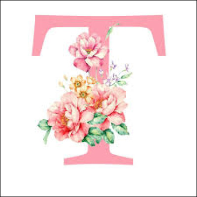 T - Quels sont les deux ingrédients principaux d'une tortilla de patatas ?