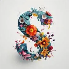 S - Combien y a-t-il de cases dans le jeu du sudoku ?