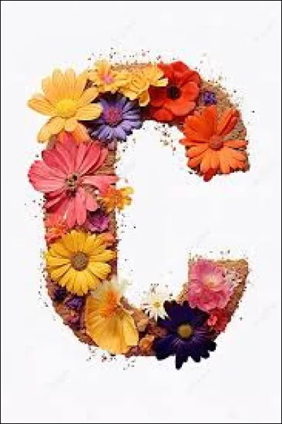 C - De quel coin de la France le cassoulet est-il une spécialité ?