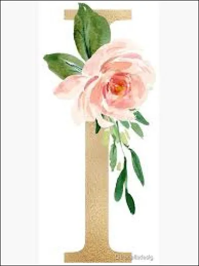 I - Complétez ce titre du groupe Indochine : "J'ai demandé à...