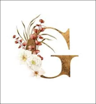 G - Quelle est la capitale de la Guadeloupe ?