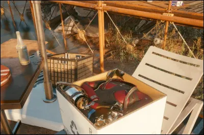 Avec qui fait-on de la plongée ?