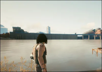 Que voit-on durant la plongée ?