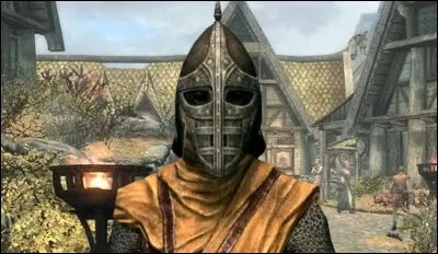 Terminez la phrase : 
"Vous avez commis des crimes contre Bordeciel et ses habitants..."