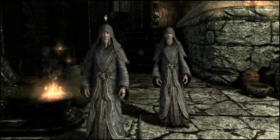 Quel est le nom du chef des Grises-Barbes qui refuse de prendre part à la guerre civile de Bordeciel ?