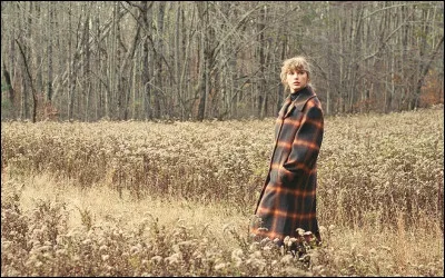 Si le test te dit ''Pas du tout Swiftie'', que vas-tu faire ?