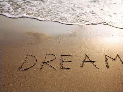 Quel rêve se rapproche le plus du sien ?