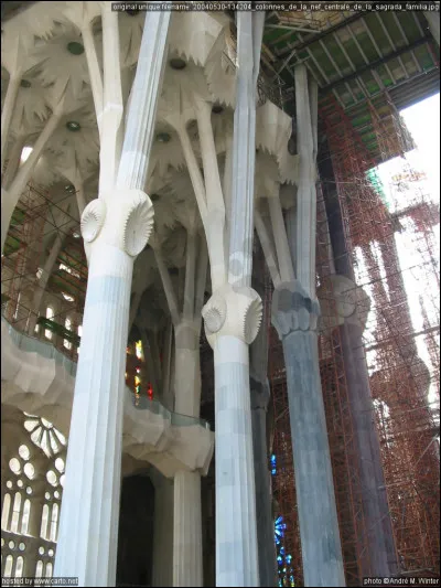 Combien de colonnes possède la Sagrada Familia, à l'intérieur ?