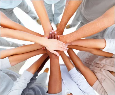 À quelle famille d'oiseaux les canards appartiennent-ils ?