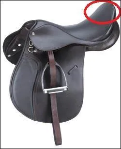 Quel est le nom de la partie de cette selle ?