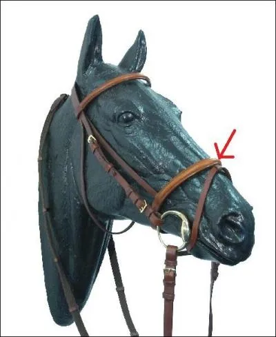 Quel est le nom de cette partie du filet ?