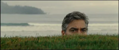 "The Descendants" est un long-m&eacute;trage interpr&eacute;t&eacute; par George Clooney.