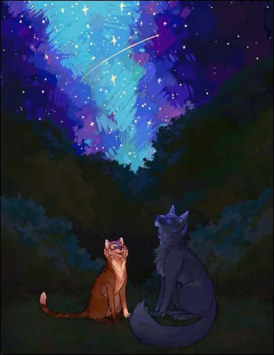 Comment est Cur Blanc ?