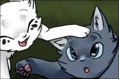 Quelle est la couleur du pelage d'Aile de Colombe ?