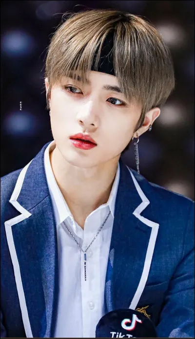 Qu'est-ce qu'un "visuel" dans la K-pop ?