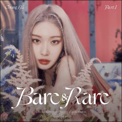 Qu'est-ce qu'un "teaser" ?