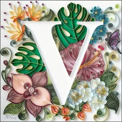 V...comme Virginie : à qui Bernardin de Saint-Pierre l'associe-t-il ?