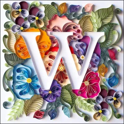 W...comme wapiti : qu'est-ce qu'un wapiti ?