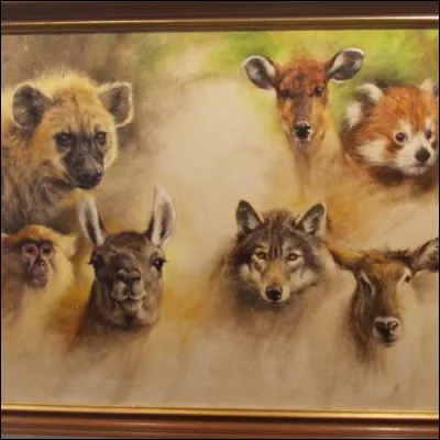 Quel est ton animal préféré ?