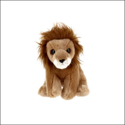 Petit lion...