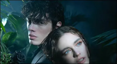 Comment s'appelle le personnage principal garçon ?