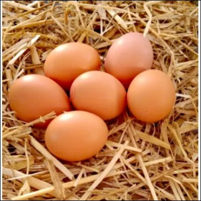 Km 87,8 : Nogaro. Une rivi&egrave;re traverse la commune, je vous demande son nom : .