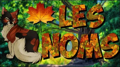 Quelle est la première partie de ton prénom ?