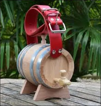 Quel est animal est Beethoven ?