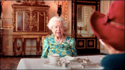 Quel animal est Paddington ?